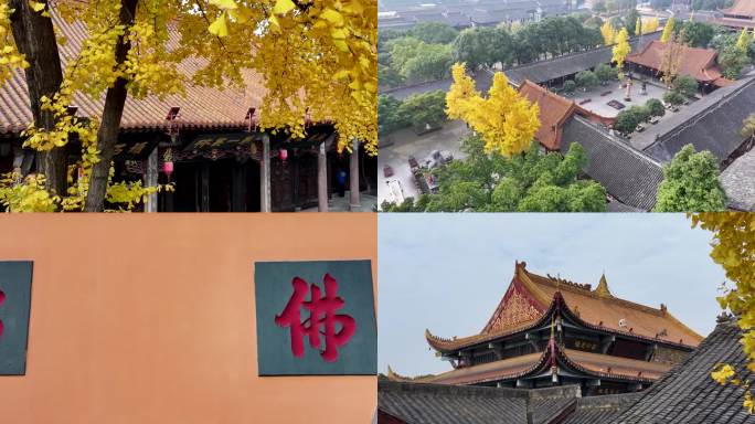 银杏与古寺—什邡罗汉寺航拍素材