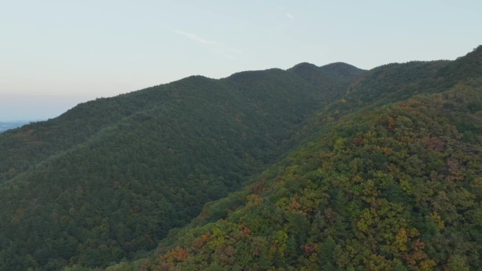 韩国江陵市的无人机视角，江原道，山脉，秋叶，60帧每秒