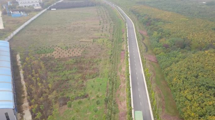 黄河河道生态防护林河滩林地防洪坝防洪公路