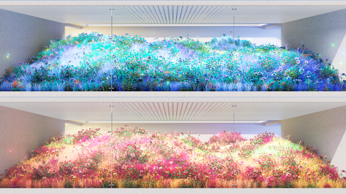 裸眼3D投影mapping花海植物生长