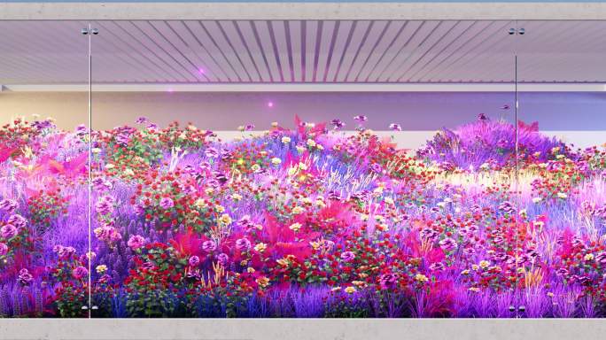 裸眼3D投影mapping花海植物生长