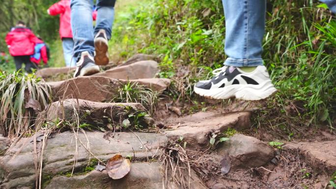 团队徒步登山石板山路泥巴路泥泞小路滑草丛