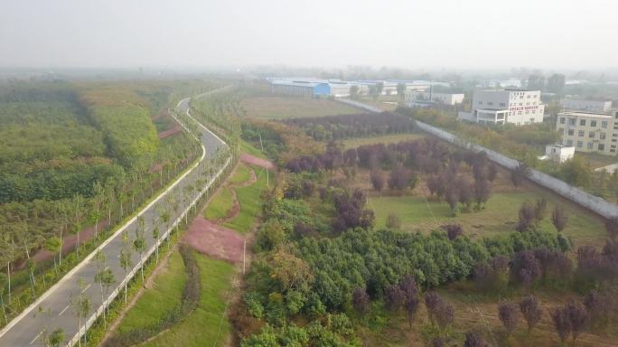 黄河河道生态防护林河滩林地防洪坝防洪公路