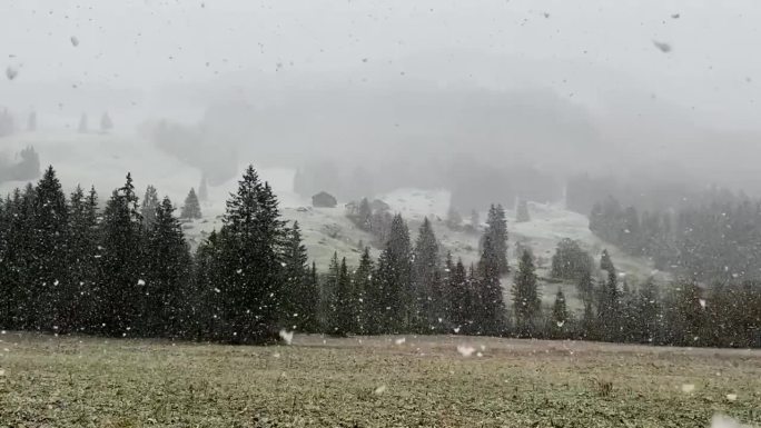 阿尔卑斯山的雪