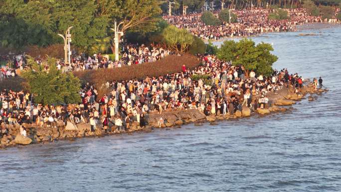 深圳湾公园观鸟人群深圳湾候鸟深圳湾海鸥
