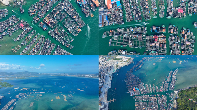 海洋海水养殖网箱航拍