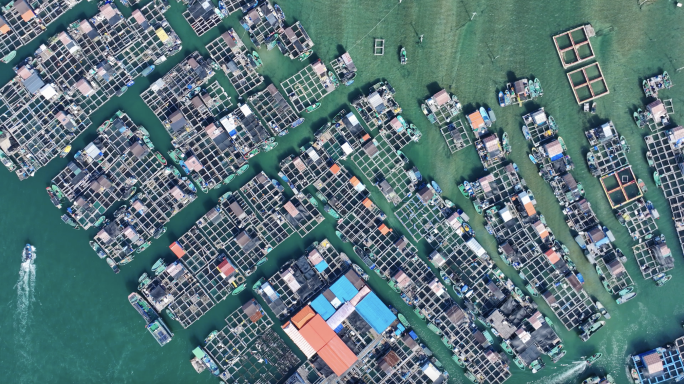海洋海水养殖网箱航拍