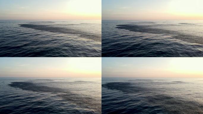 学校鱼群在海面形成饵球，造成扰动，日落时的空中拍摄。