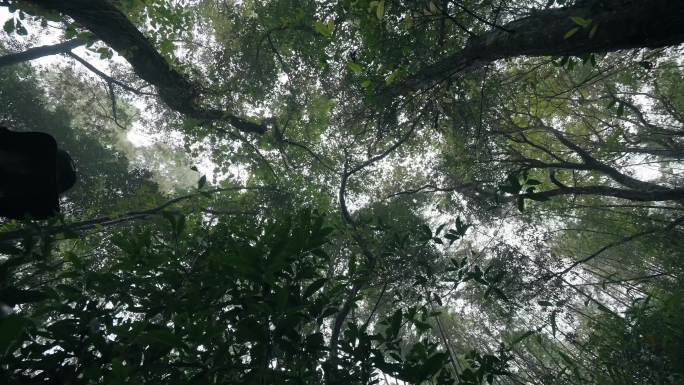徒步脚步涉水拔山森林草地瀑布登山镐