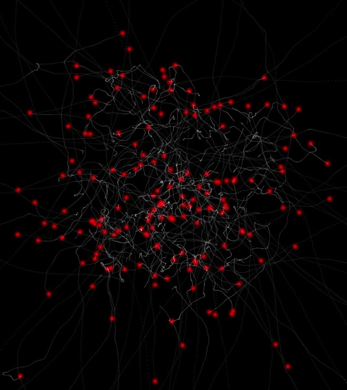 粒子轨迹：红色、白色，黑色背景
