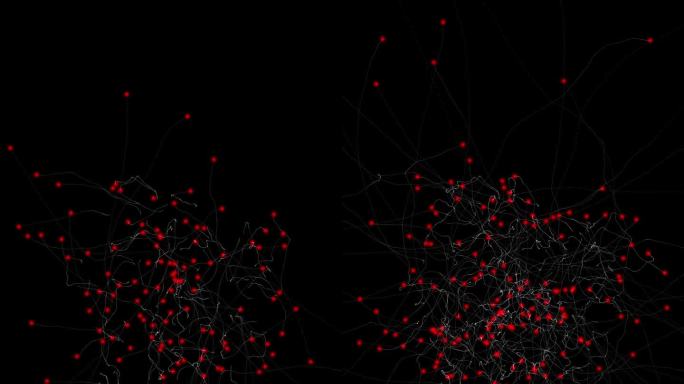 粒子轨迹：红色、白色，黑色背景