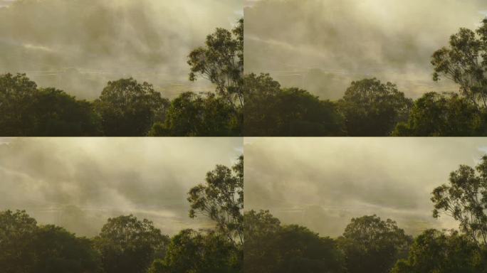 乡村烧秸秆烟雾 农村田野烧稻田焚烧稻草