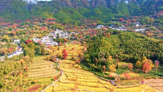 航拍安徽黟县塔川秋日风光4K