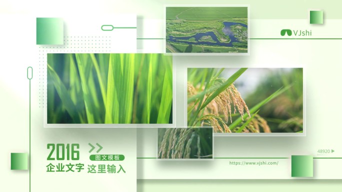 绿色生态照片展示