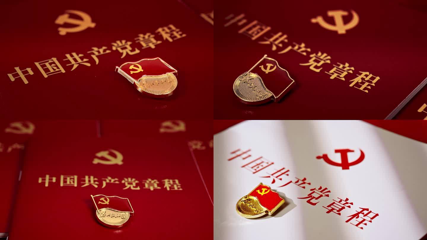 党红色建党党政党徽党建宣誓