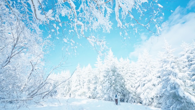 中国雪乡 雪岭 雾凇 冰雪大世界 长白山