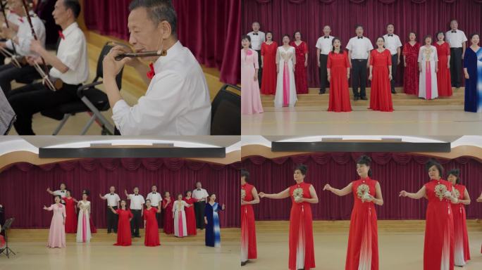 【合集】社区老年活动老年社团