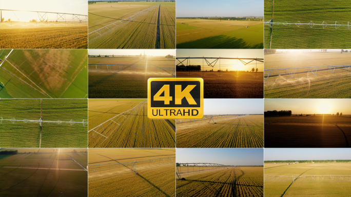 【4K】航拍农业灌溉系统自动化灌溉麦田