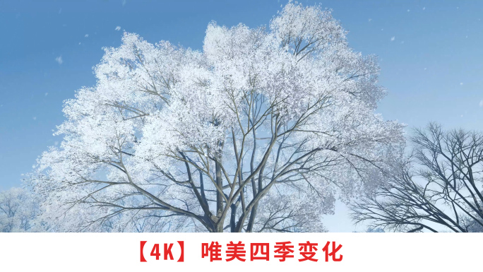 四季变化2
