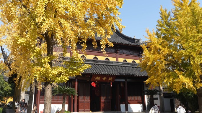 苏州秋天人文 寺庙 行人 银杏 枫叶