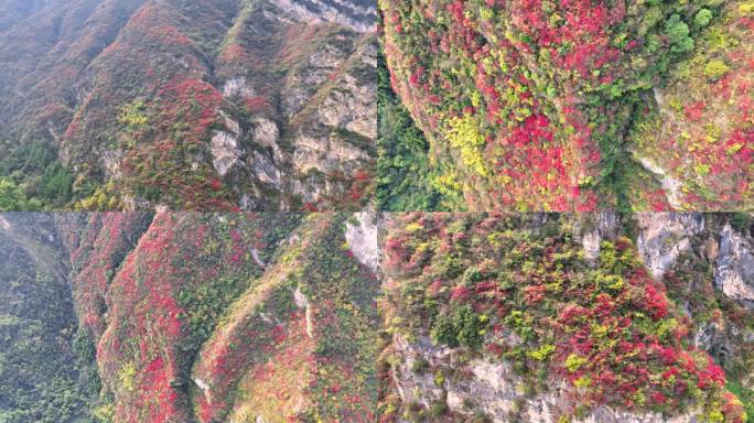 航拍长江西陵峡之兵书宝剑峡红叶美景