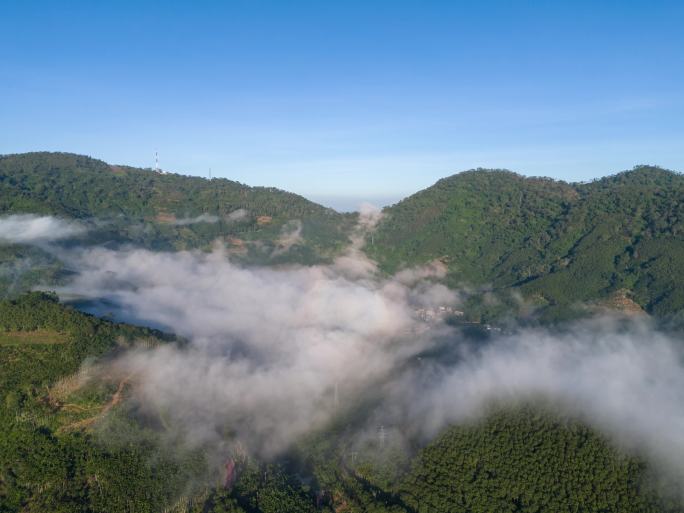 海南白沙九架岭云海延时