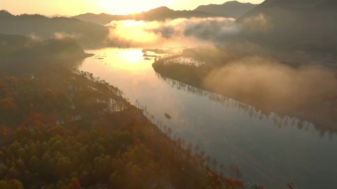 4K 皖南川藏线宁国落羽杉林秋季日出航拍