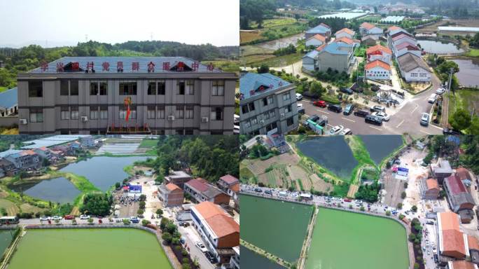 武穴市李兴泗村抗洪演练航拍