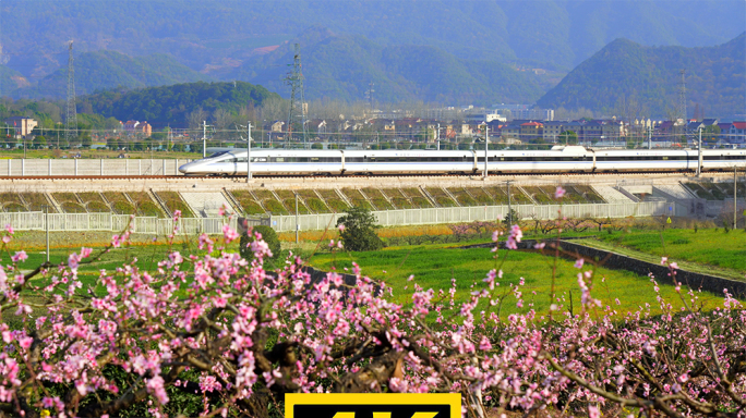 高铁动车春天驶过田野