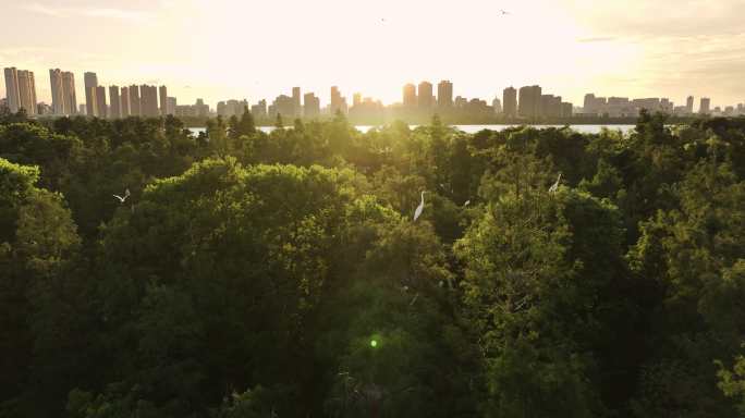 艾溪湖湿地公园环境环保绿地中心