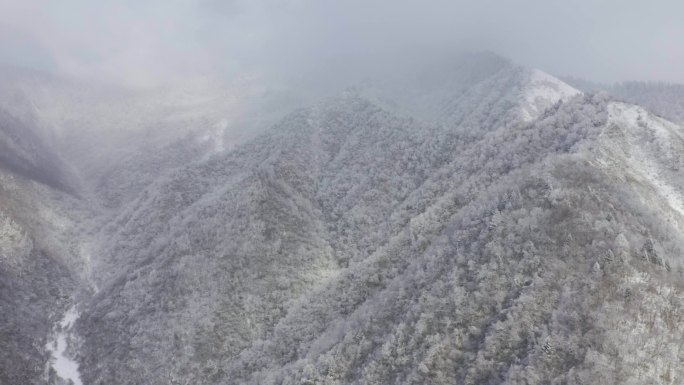 冬天下雪雪山冰冻寒冷霜降大雪