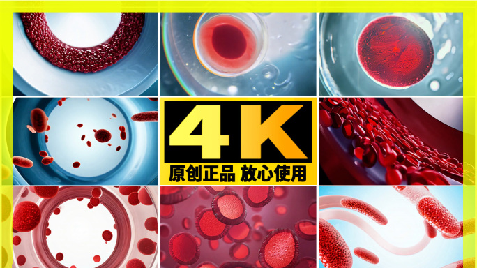 血管中的血细胞三维医学器官生物细胞特效