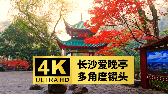 【合集】2024最新长沙爱晚亭秋景镜头