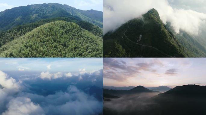 广西猫儿山生态森林02