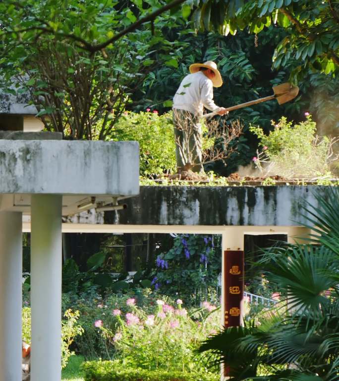 园林工人在阳光下的公园养护花草绿化竖幅