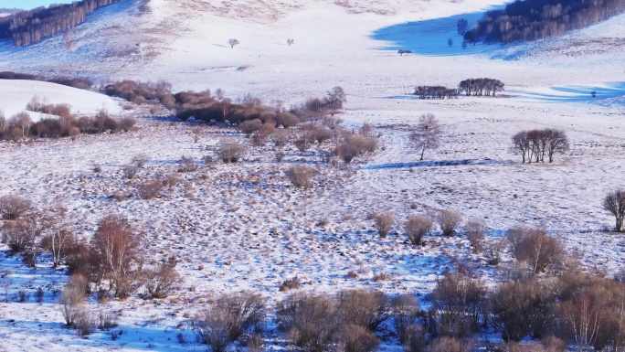冬季内蒙古乌兰布统雪景航拍-0115