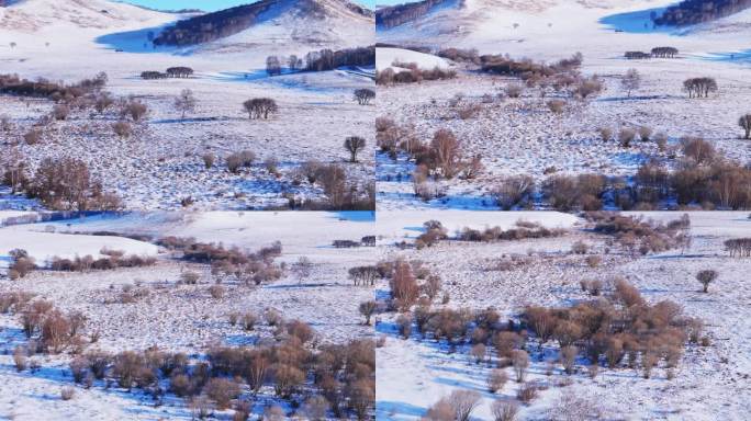 冬季内蒙古乌兰布统雪景航拍-0115