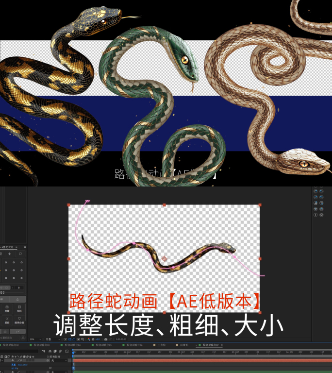 2025蛇AE版本