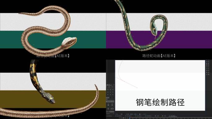 2025蛇AE版本