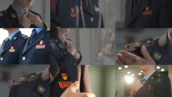 中国税务徽章 税徽