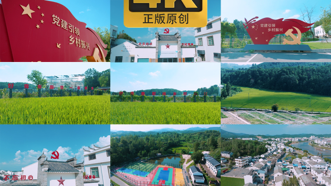 党建引领，乡村振兴