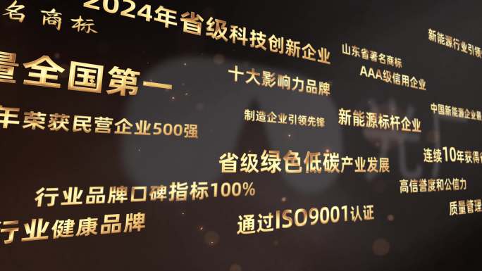 金色大气荣誉文字墙展示