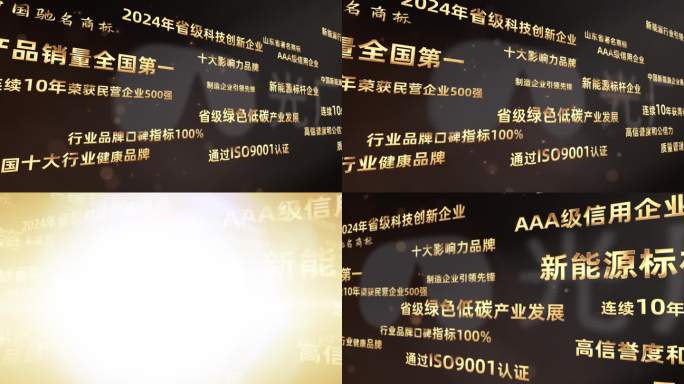 金色大气荣誉文字墙展示