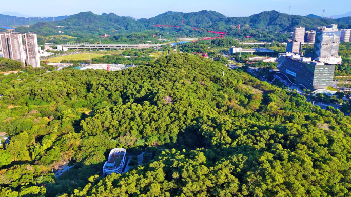 深圳 光明新城公园