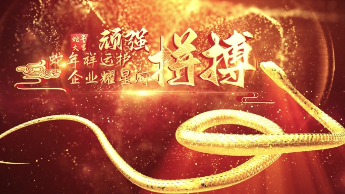星云蛇年年会2025年会开场4kae
