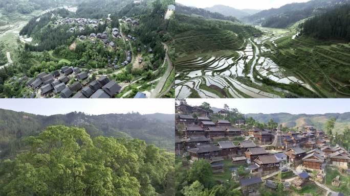 梯田 贵州苗寨 苗家吊脚楼 传统村落