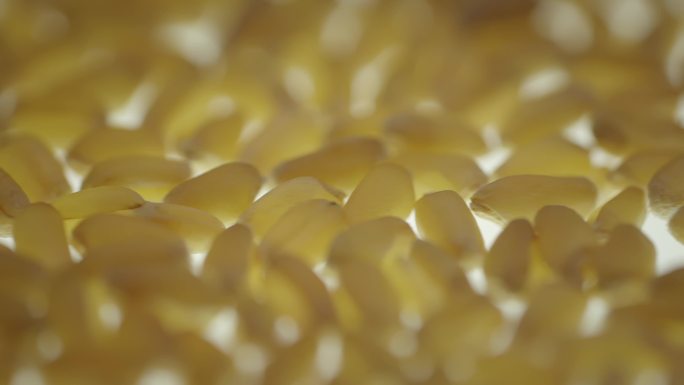 农业种子库玉米小麦大豆特写种子合集