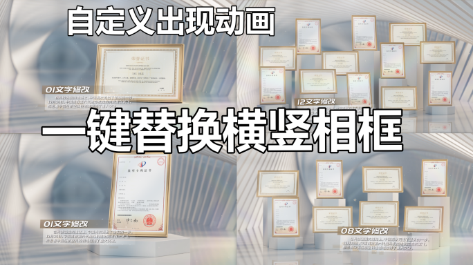 企业高端横竖自由组合荣誉证书