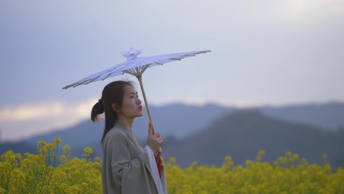 古代女人撑着纸伞油菜花田国风古风