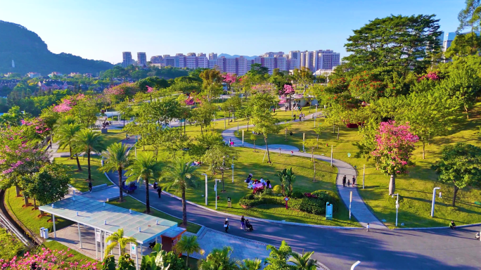 深圳龙华 白石龙音乐主题公园